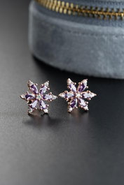 Heliophilia Silver Pendientes de Plata de Ley 925 con Baño de Oro Rosa y Circón
